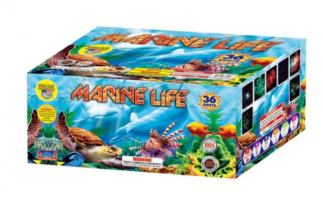 marine life firework